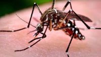 Un hombre de 45 años es el caso 15 de Dengue en el departamento